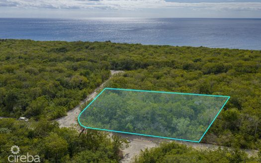 CAYMAN BRAC SELWORTHY GROVE LAND PARCEL