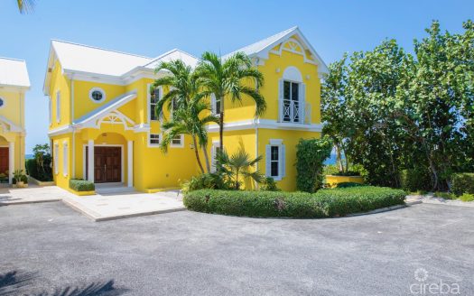 SAVANNAH BLUFF OCEANFRONT HOME