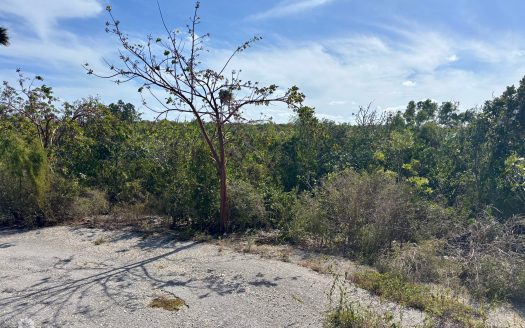 LITTLE CAYMAN EAST LOT – .5 ACRES