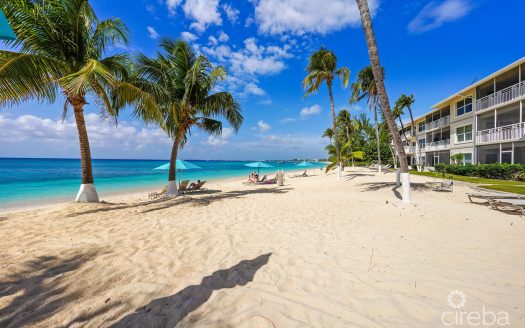 SEVEN MILE BEACHFRONT  CONDO, CAYMAN CLUB